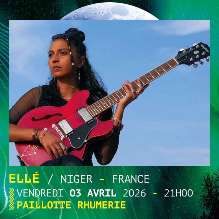 post_artiste_instagram_facebook_ndg_elle